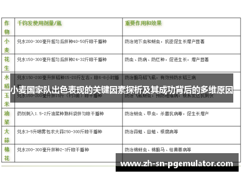 小麦国家队出色表现的关键因素探析及其成功背后的多维原因