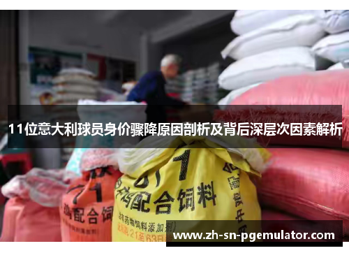 11位意大利球员身价骤降原因剖析及背后深层次因素解析