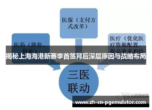 揭秘上海海港新赛季首签背后深层原因与战略布局