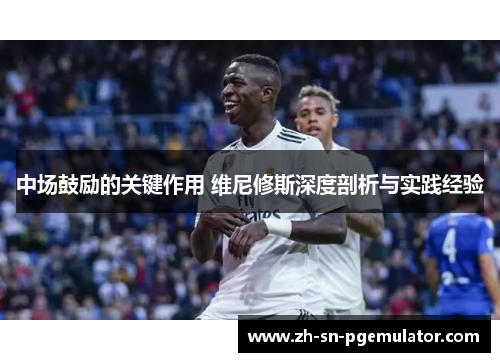 中场鼓励的关键作用 维尼修斯深度剖析与实践经验