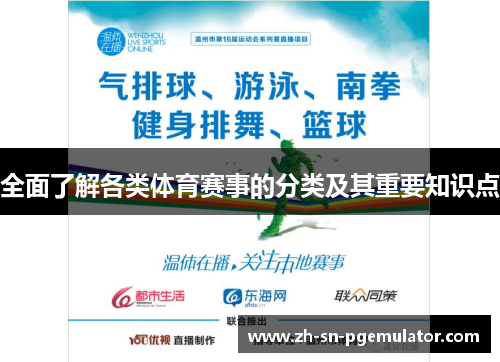全面了解各类体育赛事的分类及其重要知识点