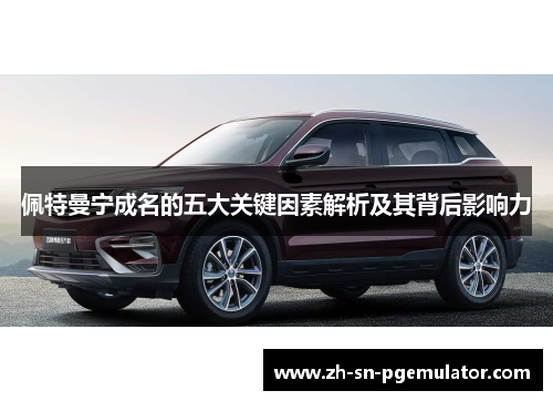 佩特曼宁成名的五大关键因素解析及其背后影响力