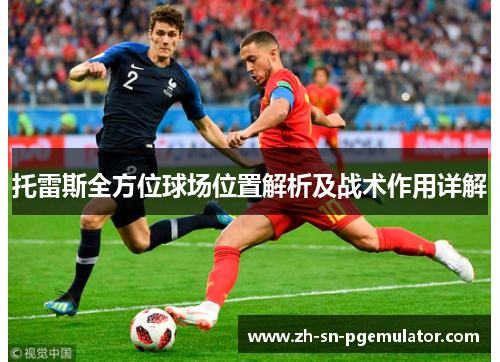 托雷斯全方位球场位置解析及战术作用详解