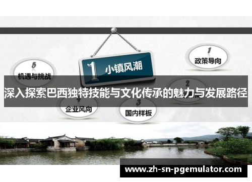 深入探索巴西独特技能与文化传承的魅力与发展路径