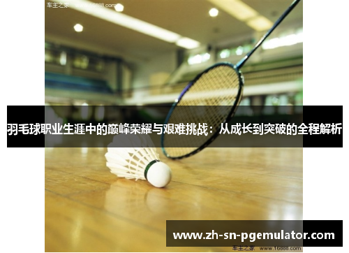 羽毛球职业生涯中的巅峰荣耀与艰难挑战：从成长到突破的全程解析