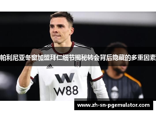 帕利尼亚冬窗加盟拜仁细节揭秘转会背后隐藏的多重因素