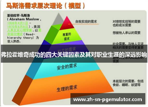 弗拉霍维奇成功的四大关键因素及其对职业生涯的深远影响