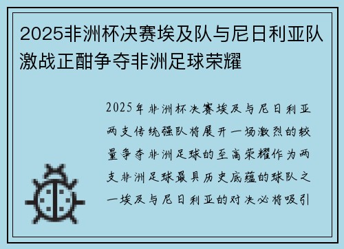2025非洲杯决赛埃及队与尼日利亚队激战正酣争夺非洲足球荣耀