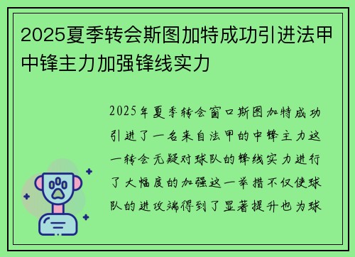 2025夏季转会斯图加特成功引进法甲中锋主力加强锋线实力 2025夏季转会斯图加特成功引进法甲中锋主力加强锋线实力